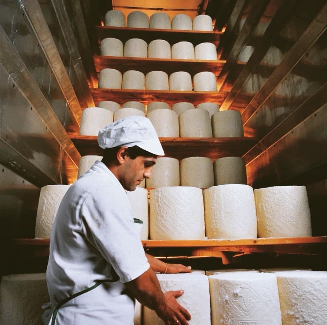 Pecorino Romano.jpg